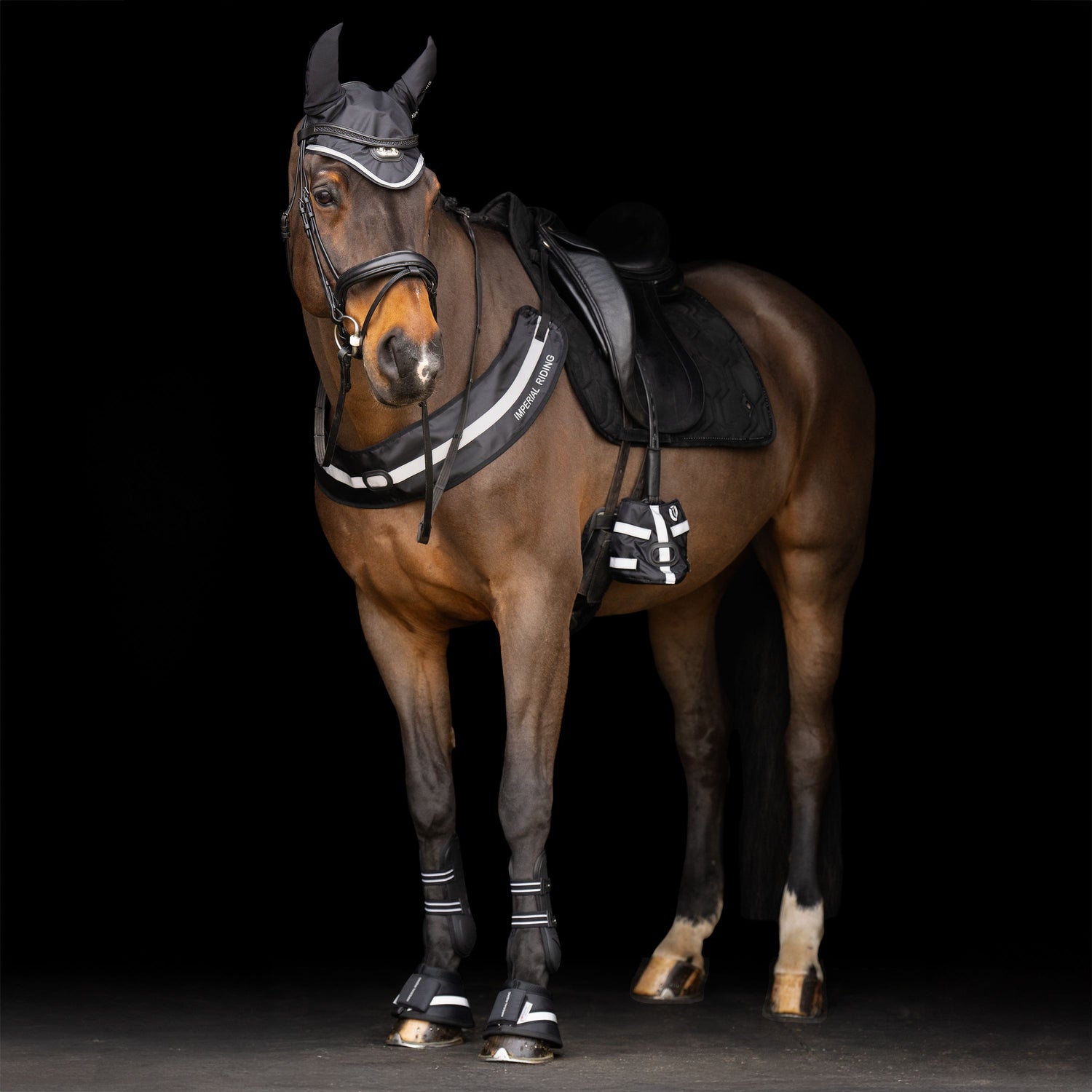 Imperial ridning, Bringe reflex, Luminous- Reflex