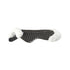 Acavallo - Underlag, Piuma-FS Respira-FS, cut-out, EVA, flat