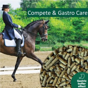 HorsePro NAG -  Compete &amp; Gastro Care 20kg