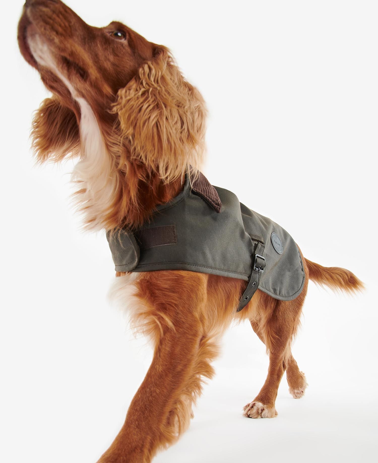 Barbour Wax Dog Coat - Olive