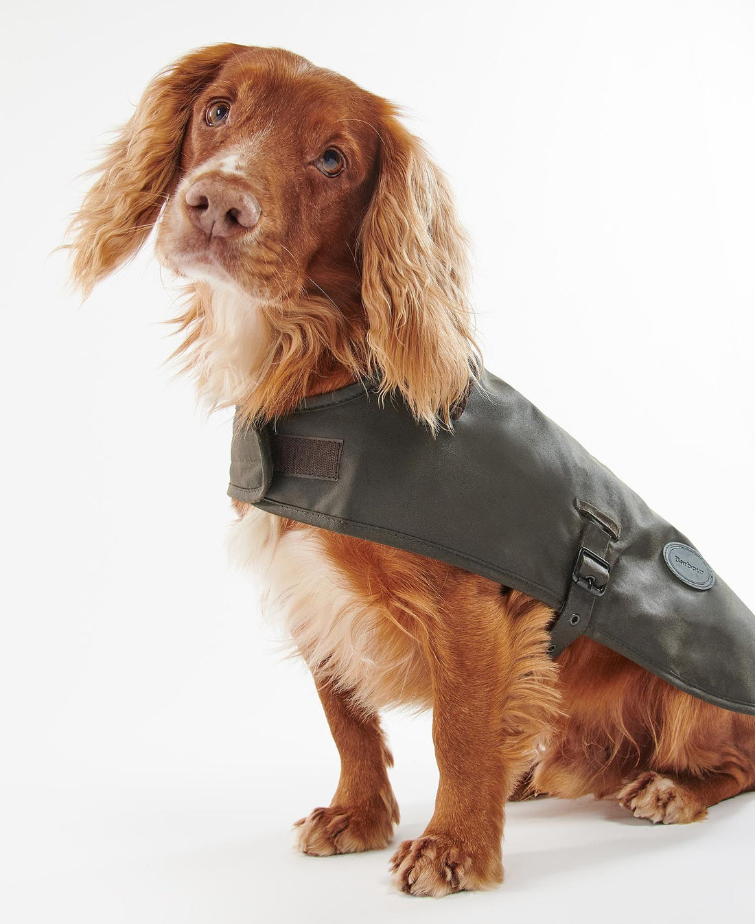 Barbour Wax Dog Coat - Olive