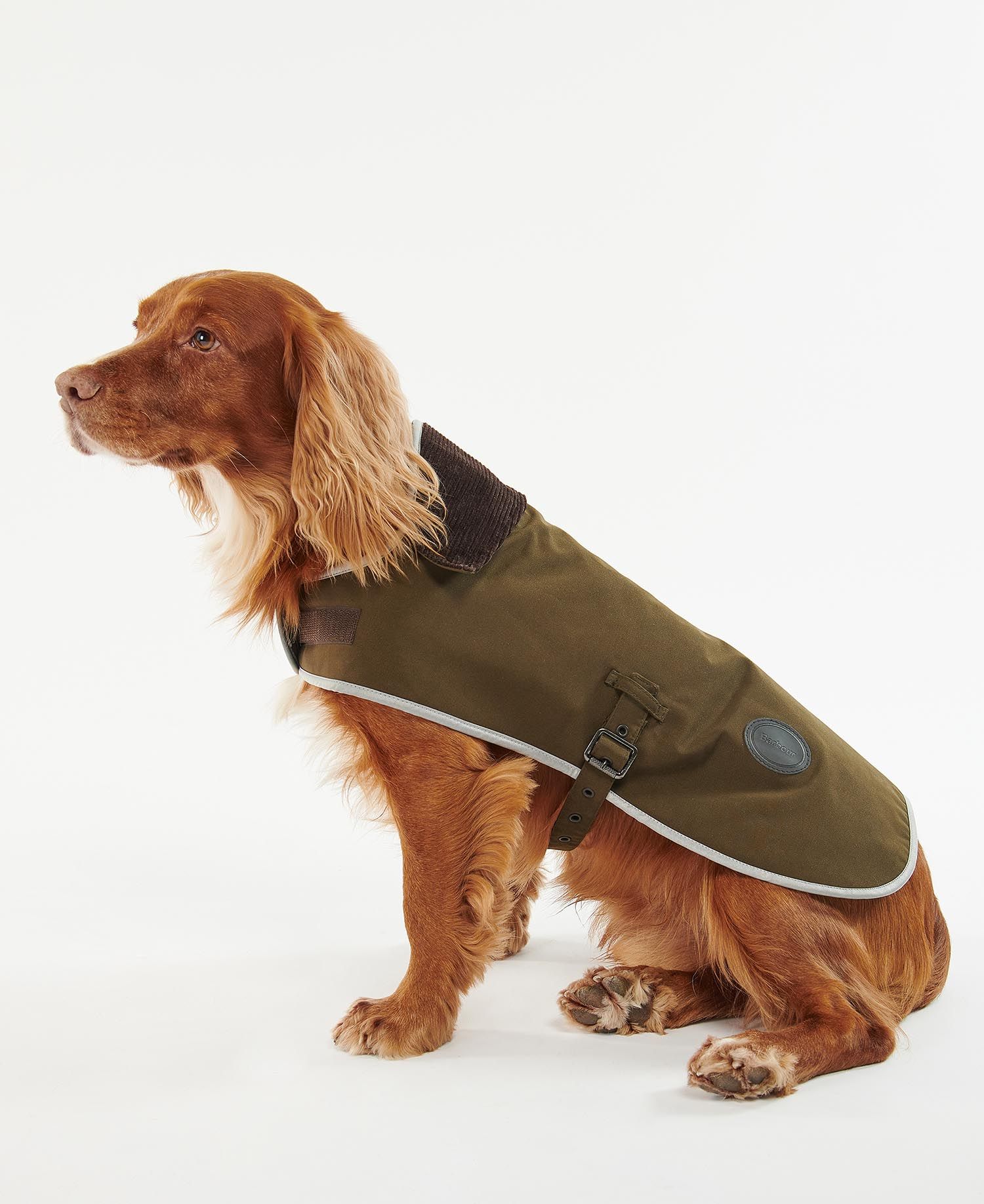 Barbour - Hundejakke, vandtæt, Waterproof Dog Coat, Oliven