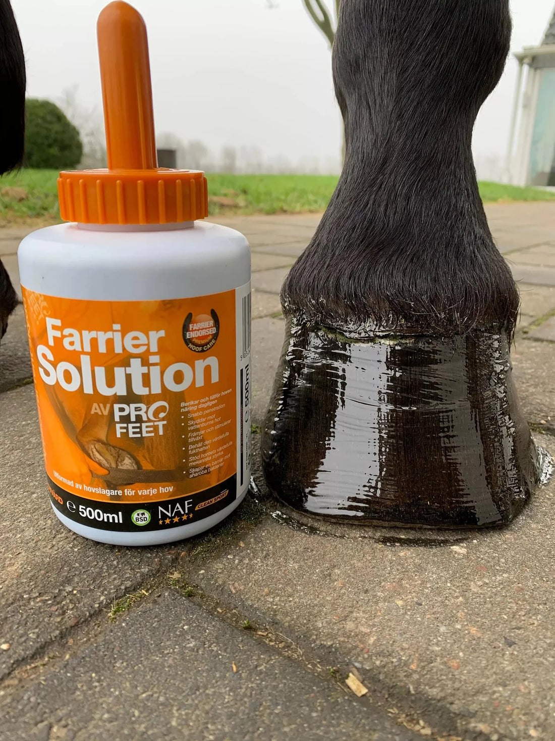 PROFEET - Hovpleje, Farrier Solution - 500ml