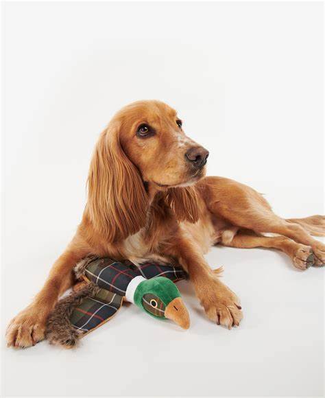 Barbour - Dog Toy - Fasan