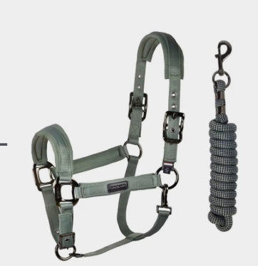 Kingsland - Grime og træktorv, Lucca- Green agave