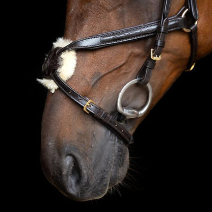 Imperial Ridning, Hovedtøj, Mexican-  Brown