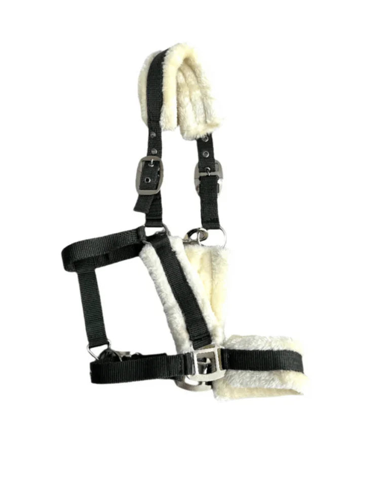 Cavalli Teddy Grime - Moss Green