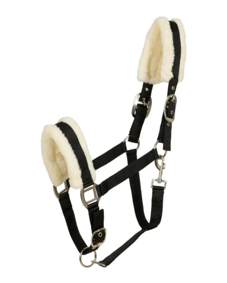 Cavalli Teddy Grime - Black