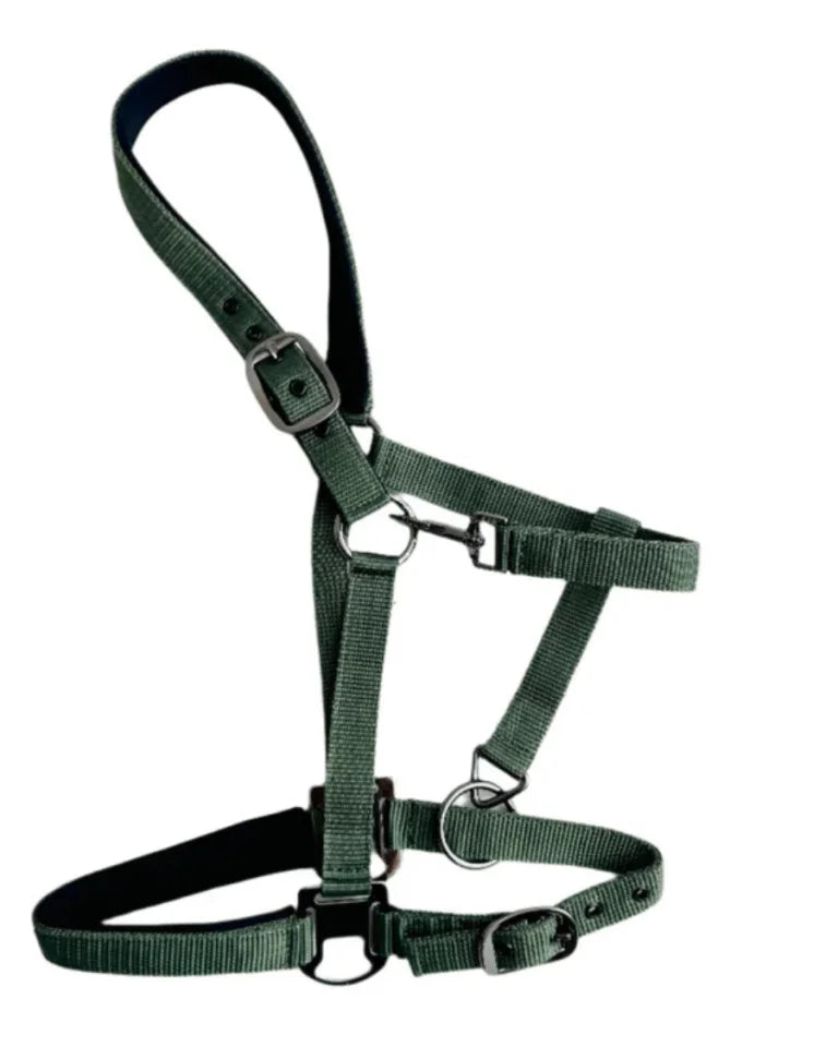 Cavalli Classic Grime m. Neopren - Moss Green