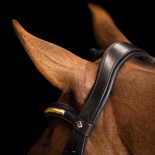 Imperial Ridning, Hovedtøj, Mexican-  Brown