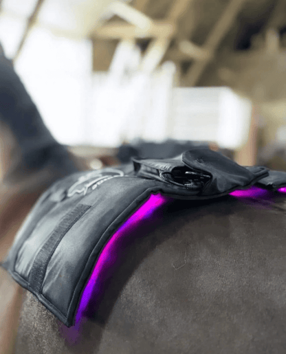 2 x Equine LTS 3.0 + 2 elastikker