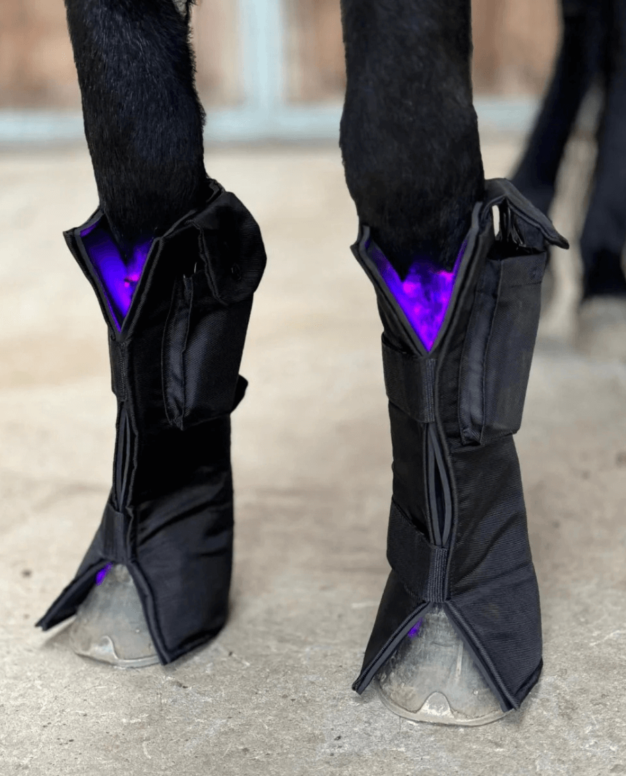 2 x Equine LTS 3.0 + 2 elastikker