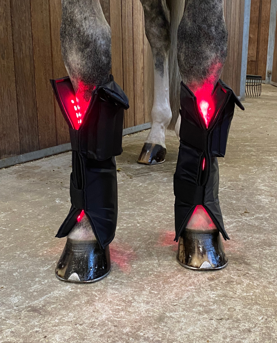Equine LTS Complete Care Bundle