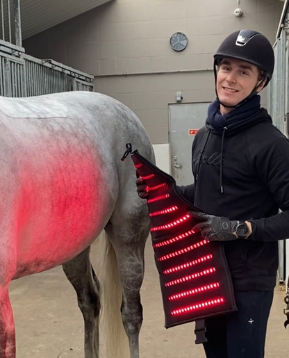 Equine LTS Complete Care Bundle