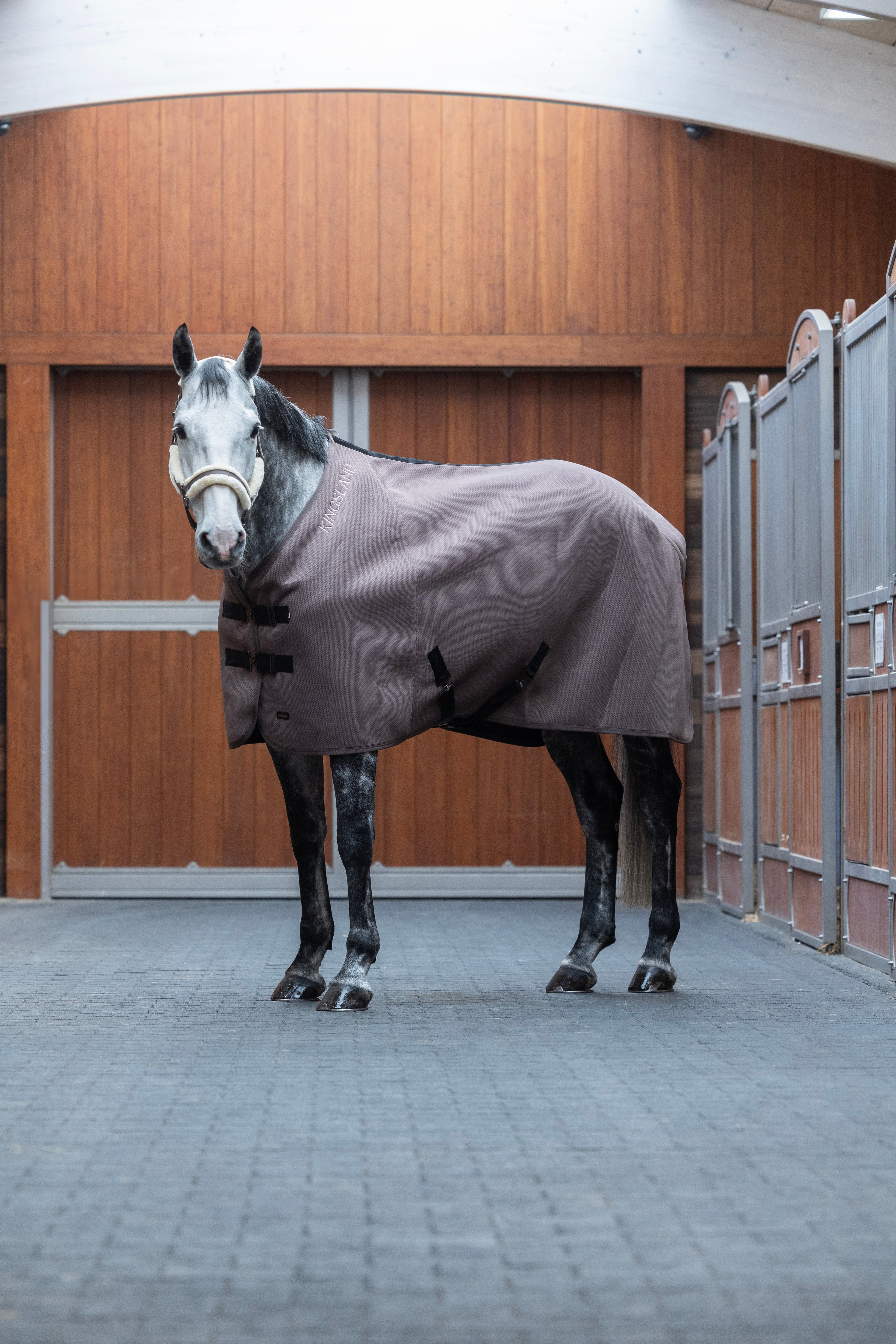 Kingsland - Lexie, Cooling rug- Brown Iron