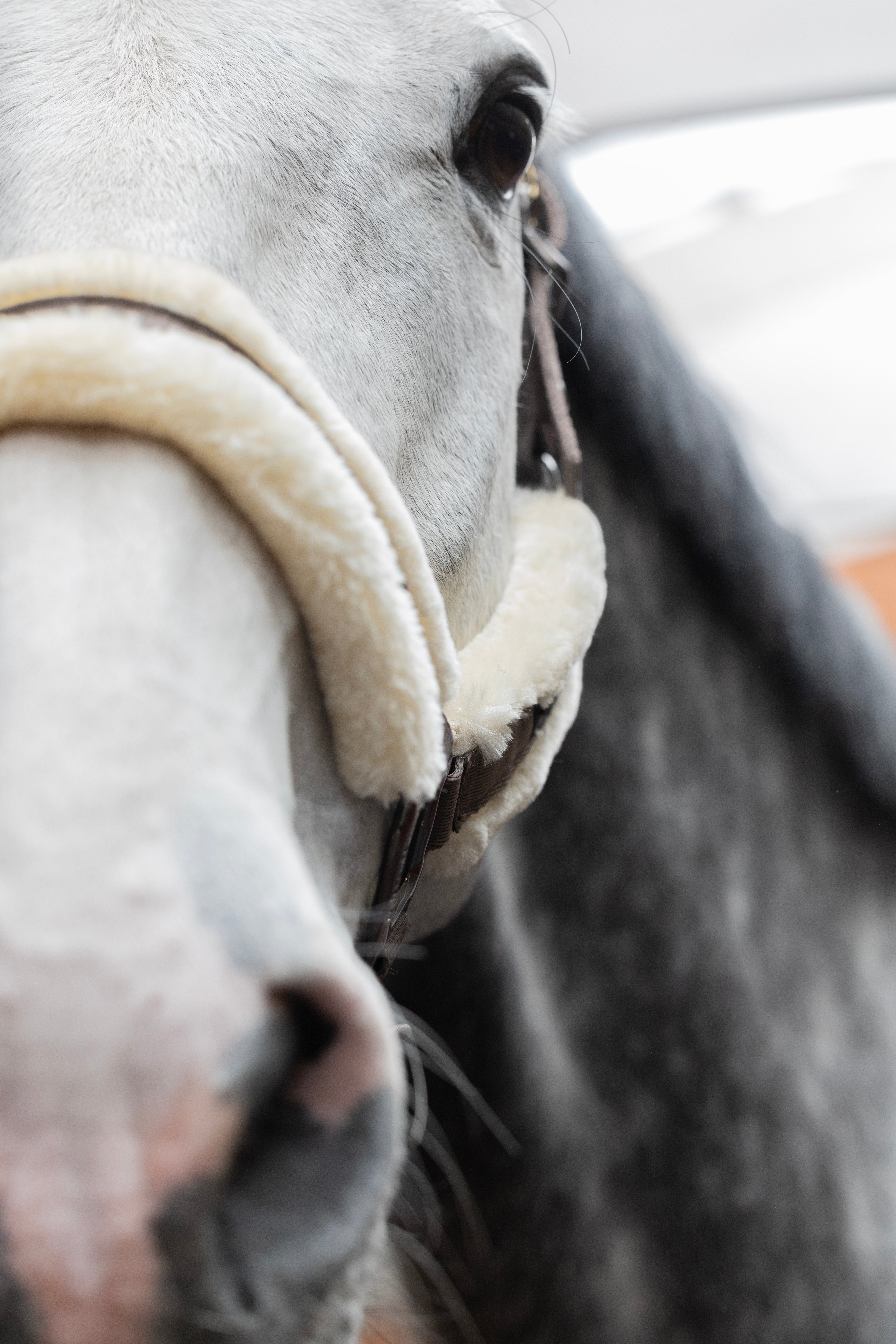 Kingsland - Grime, Lexie- Brown iron