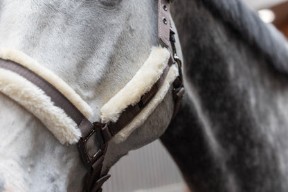 Kingsland - Grime, Lexie- Brown iron