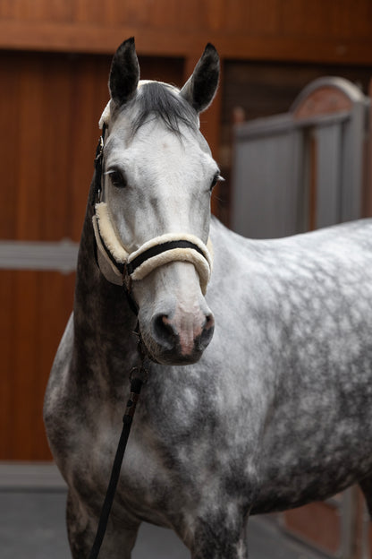 Kingsland - Grime, Lexie- Brown iron