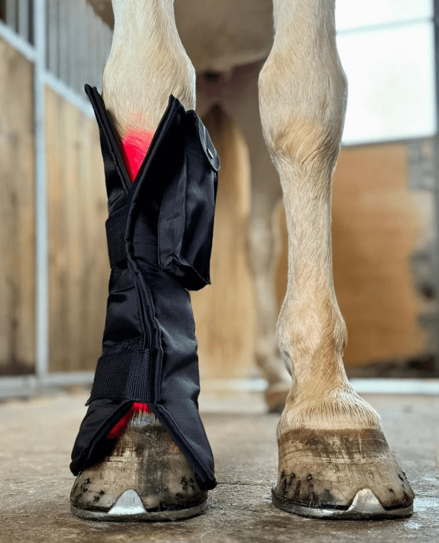 Equine LTS Red Edition + 2 elastikker