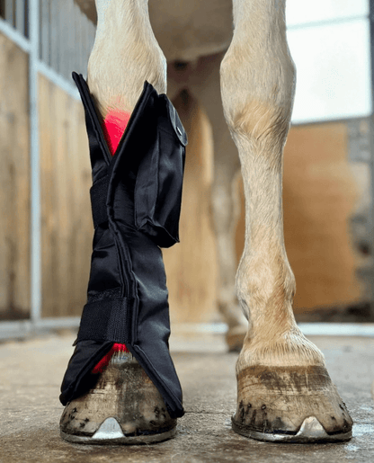 Equine LTS Red Edition + 2 elastikker