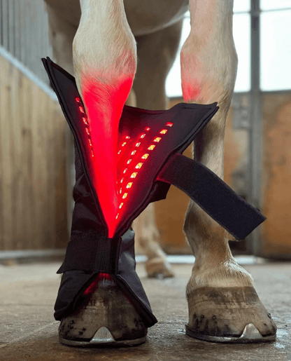 Equine LTS 2 x New Red Edition + 2 elastikker