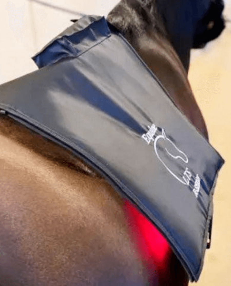 Equine LTS Mini Pro