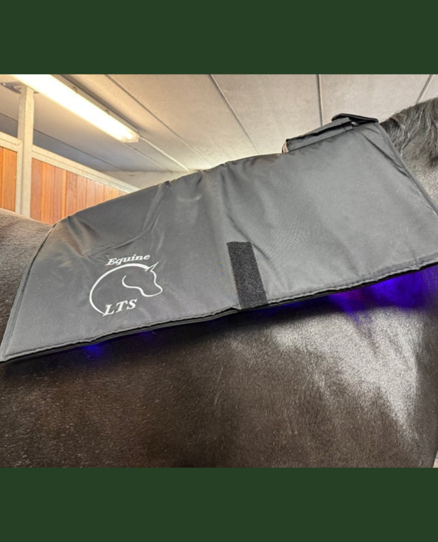 Equine LTS - Topline