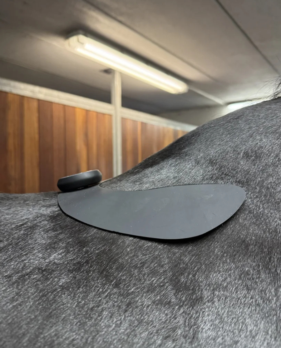 Equine LTS STOR pad til LTS Tens
