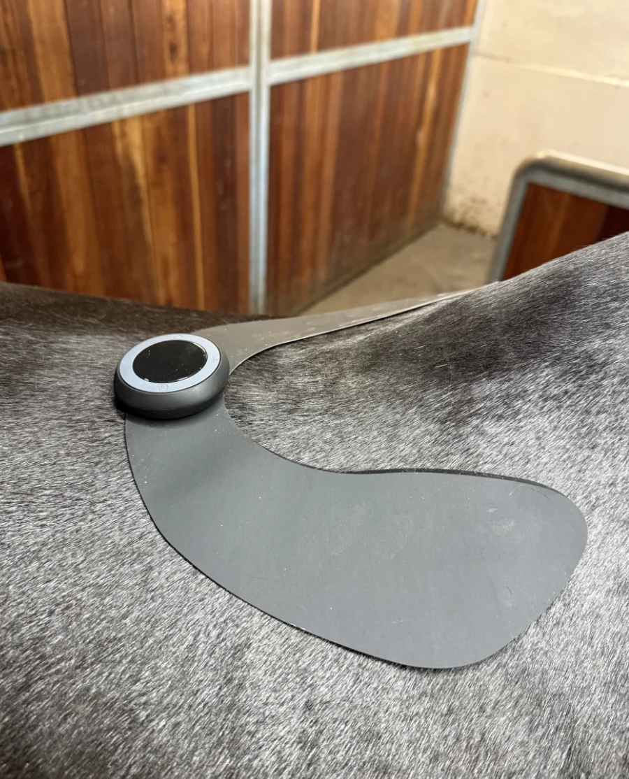 Equine LTS TENS sæt - Stor + Lille pad